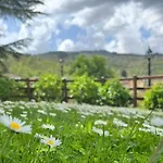 Marinelli With Private Pool, Hot Tub And Garden, Tuscany Castel Focognano