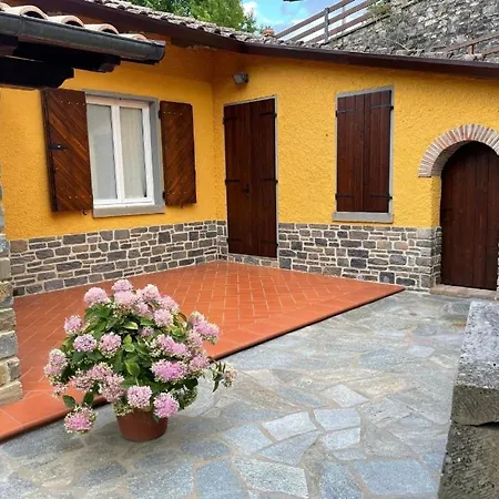 Marinelli With Private Pool, Hot Tub And Garden, Tuscany Villa Castel Focognano