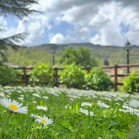 Marinelli With Private Pool, Hot Tub And Garden, Tuscany Castel Focognano